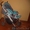 Прогулочная коляска трось Baby Care Diskovery - Изображение #2, Объявление #253227