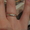 НОВЫЕ обручальные кольца, желтое белое золото 585, размеры 17 и 19,5 - Изображение #6, Объявление #286269