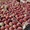 Персики,  абрикосы, нектарин, вишня, слива со склада в Сербии #309670