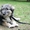 Небольшая собачка 7 месяцев в заботливые руки - Изображение #2, Объявление #330557