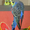 волнистый попугайчик, самец #313660