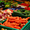 Продаем свежие овощи и фрукты #323050