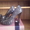 Продаю эффектные шикарные женские туфли 35р. #323391