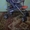 Детская коляска Quatro Mini - Изображение #1, Объявление #349936