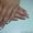 Гелевое наращивание ногтей на формы и на типсы #394169