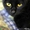 Изящная пантерка-кошка Лика - Изображение #2, Объявление #435563