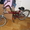 велосипед STELS, 2003 г.в. складной, отличное сост. - Изображение #3, Объявление #605374