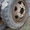 Продам колеса от ГАЗ-52, 53 б/у и диски - Изображение #2, Объявление #650640