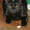 ПАНТЕРА БАГИРА - черная кошка - Изображение #1, Объявление #680747