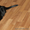 ПАНТЕРА БАГИРА - черная кошка - Изображение #3, Объявление #680747