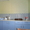 Сдам дом на Браславских озерах - Изображение #1, Объявление #695009