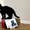 Черный котенок-мальчик (3.5 месяца) в дар - Изображение #5, Объявление #706174