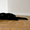 Черный котенок-мальчик (3.5 месяца) в дар - Изображение #4, Объявление #706174