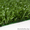 Искусственная трава Беларусь - Изображение #1, Объявление #762778