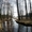 Продам Настоящий Хутор в лесу у воды берег лесной реки рядом озёрами  на Белорус - Изображение #4, Объявление #803424