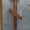  ритуальные услуги деревянные кресты в ассортименте по оптовым ценам  - Изображение #1, Объявление #889212