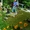 Gardena в Минске с доставкой на дом! Gardena - оживи свой сад! - Изображение #8, Объявление #895934