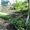 Дача в красивом месте,Зеленом - Изображение #2, Объявление #907450