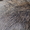 Ковер из меха бобра - Изображение #2, Объявление #924895