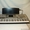 Продажа: Roland Fantom-Korg Клавиатура-Pioneer DJ-микшер-Yamaha клавиатура #926682