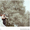Свадебная фотосессия,  свет любви на ваших фотографиях!  #962701
