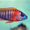 Цихлиды Аулонокара Ред рубин - Аквариумные рыбки