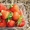 Рассада клубники и малины, голландские сорта  - Изображение #1, Объявление #1064703