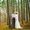 Свадебный фотограф -Минск - Изображение #4, Объявление #1027577