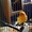 Продам молодого лимонно-белого певчего кенара - Изображение #4, Объявление #1128994