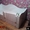 Кровать с ящиками sakko - Изображение #6, Объявление #1148017