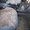 Citroen Xsara 2004 г в. !,6 бензиновый хэтчбек аварийный - Изображение #3, Объявление #1175298