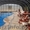 Павильоны для бассейнов ЛАГУНА - Изображение #2, Объявление #1176761