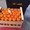 продаем мандарины из Испании - Изображение #4, Объявление #1188219