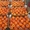 продаем мандарины из Испании - Изображение #5, Объявление #1188219