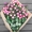 Цветы, розы с доставкой по низким ценам Минска! - Изображение #4, Объявление #1218194