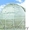 Теплица Урожай - Элит от 4 до 10 м в комплекте с поликарбонатом. Доставка по РБ  - Изображение #4, Объявление #1229583