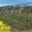 Теплица Урожай - Элит от 4 до 10 м в комплекте с поликарбонатом. Доставка по РБ  - Изображение #3, Объявление #1229583