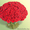 Доставка роз в Минске, всегда свежие розы дешево - Изображение #3, Объявление #1261154