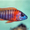 Цыхлиды разные - Аквариумные рыбки - Изображение #5, Объявление #1150327