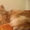#помощь #кот #передержка #рыжий_кот г.МИНСК,  БЕЛАРУСЬ Срочно нужна ПЕРЕДЕРЖКА,  а #1261024
