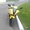  Yamaha YZF R6 Желтая чудесная пчела спортбайк - Изображение #2, Объявление #1263043