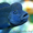 Львиноголовая цихлида - Аквариумные рыбки #1263717