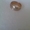 золотое кольцо по низкой цене - Изображение #2, Объявление #1277875