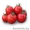Семена томата ASWAN F1 / АСВОН F1 фирмы Китано - Изображение #2, Объявление #1296138