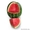 Семена арбуза KS 24 F1 фирмы Китано - Изображение #1, Объявление #1296181