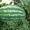 Семена арбуза KS 24 F1 фирмы Китано - Изображение #2, Объявление #1296181
