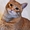 Кот рыжий Бриз в дар - Изображение #2, Объявление #1301922