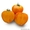Семена оранжевого томата KS 18 F1 фирмы Китано #1297207