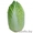 Семена пекинской капусты KS 934 F1 (Китано) #1297675