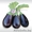 Семена баклажана PRADO F1 / ПРАДО F1 фирмы Китано - Изображение #1, Объявление #1297693